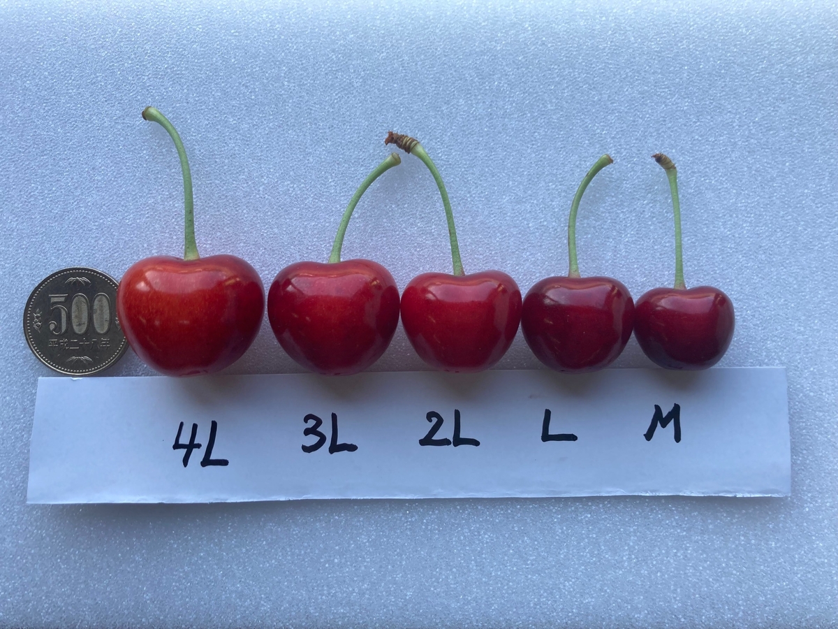 タニダ様専用】クール便 【公式通販】